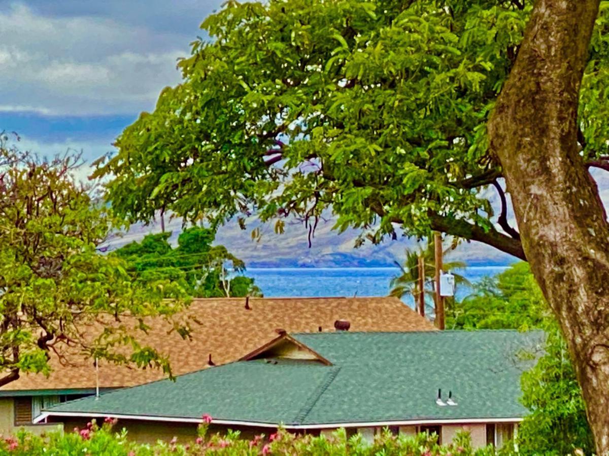Maui-Licious By The Beach Kihei Exterior foto